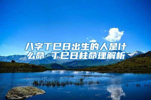 八字丁巳日出生的人是什么命 丁巳日柱命理解析