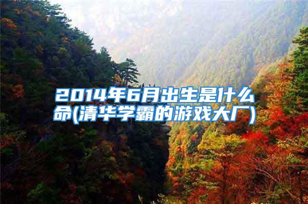 2014年6月出生是什么命(清华学霸的游戏大厂)