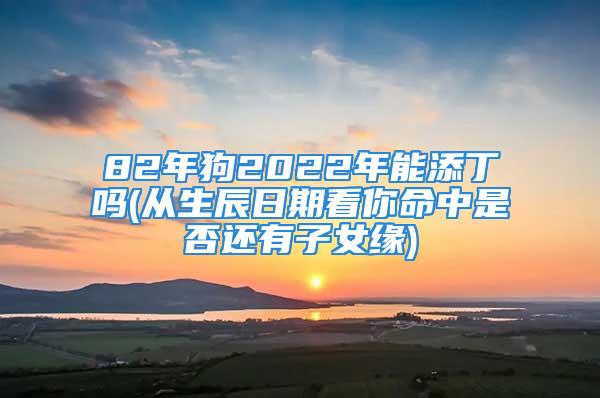 82年狗2022年能添丁吗(从生辰日期看你命中是否还有子女缘)