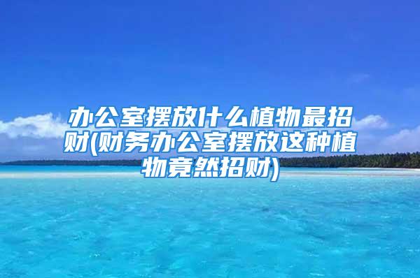 办公室摆放什么植物最招财(财务办公室摆放这种植物竟然招财)