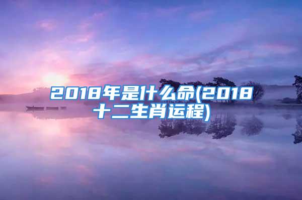 2018年是什么命(2018十二生肖运程)