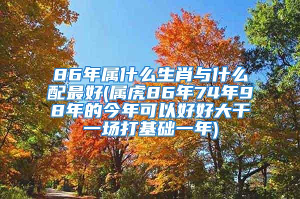 86年属什么生肖与什么配最好(属虎86年74年98年的今年可以好好大干一场打基础一年)