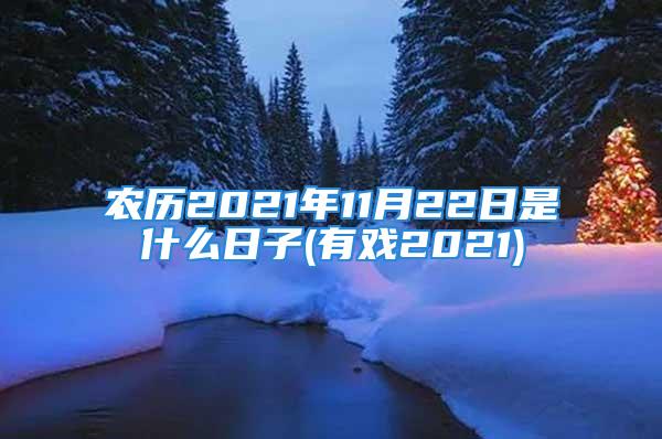 农历2021年11月22日是什么日子(有戏2021)