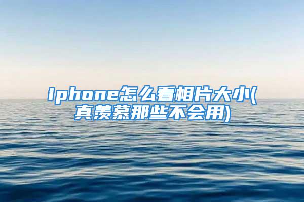 iphone怎么看相片大小(真羡慕那些不会用)