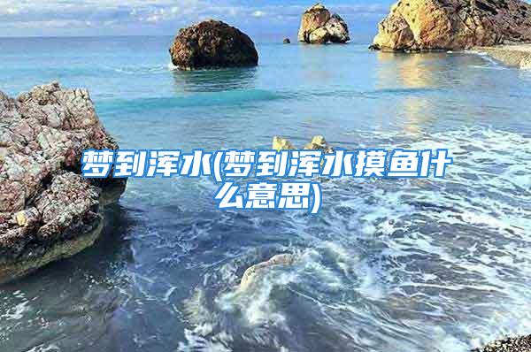 梦到浑水(梦到浑水摸鱼什么意思)