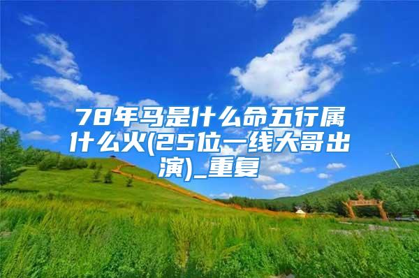 78年马是什么命五行属什么火(25位一线大哥出演)_重复