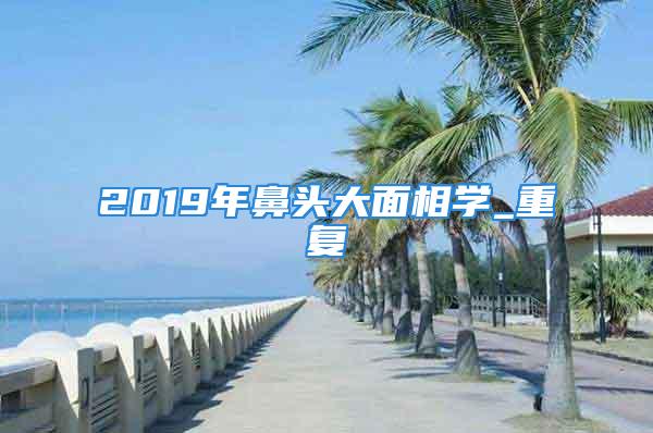 2019年鼻头大面相学_重复