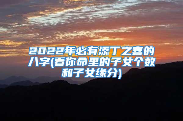 2022年必有添丁之喜的八字(看你命里的子女个数和子女缘分)