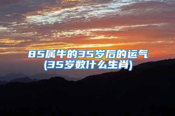 85属牛的35岁后的运气(35岁数什么生肖)