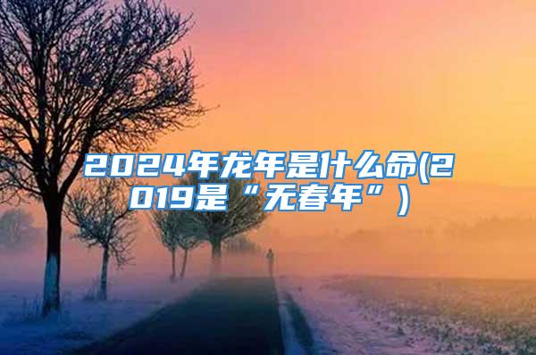 2024年龙年是什么命(2019是“无春年”)