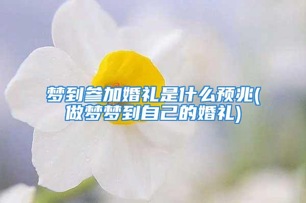 梦到参加婚礼是什么预兆(做梦梦到自己的婚礼)