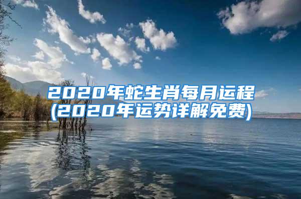 2020年蛇生肖每月运程(2020年运势详解免费)