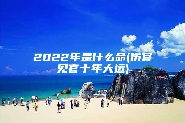 2022年是什么命(伤官见官十年大运)