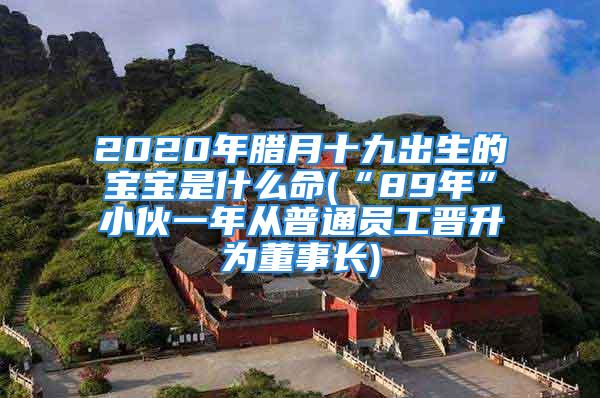 2020年腊月十九出生的宝宝是什么命(“89年”小伙一年从普通员工晋升为董事长)