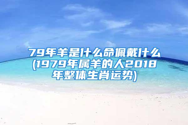 79年羊是什么命佩戴什么(1979年属羊的人2018年整体生肖运势)