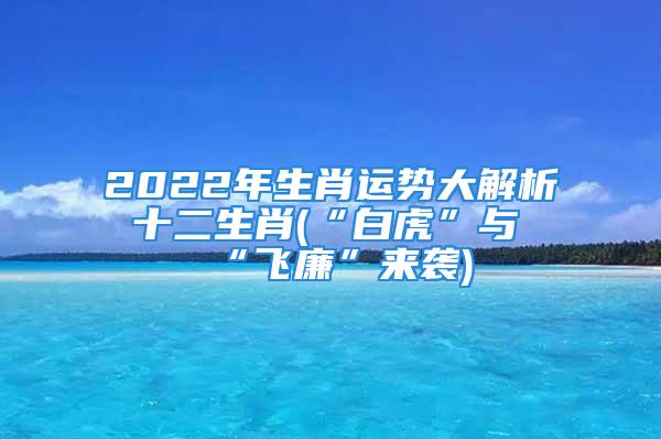 2022年生肖运势大解析 十二生肖(“白虎”与“飞廉”来袭)