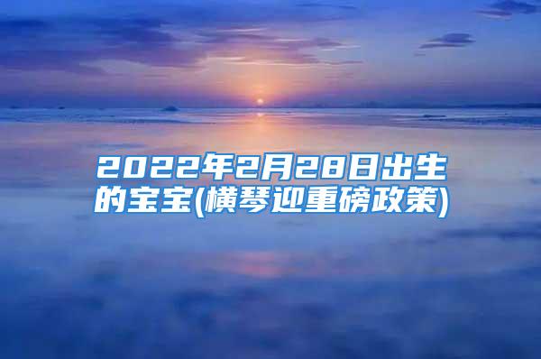 2022年2月28日出生的宝宝(横琴迎重磅政策)