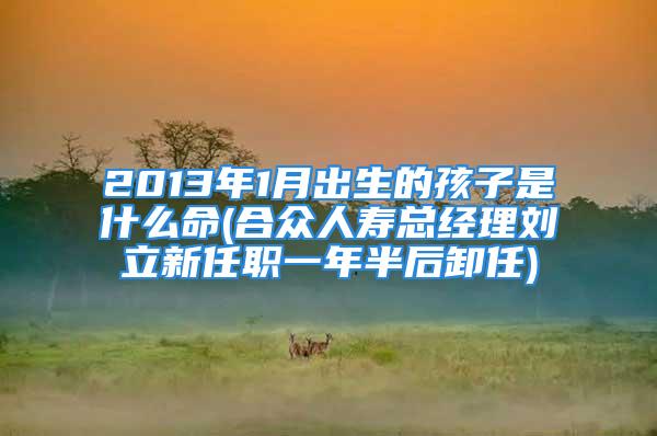 2013年1月出生的孩子是什么命(合众人寿总经理刘立新任职一年半后卸任)