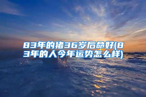 83年的猪36岁后命好(83年的人今年运势怎么样)