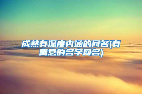 成熟有深度内涵的网名(有寓意的名字网名)