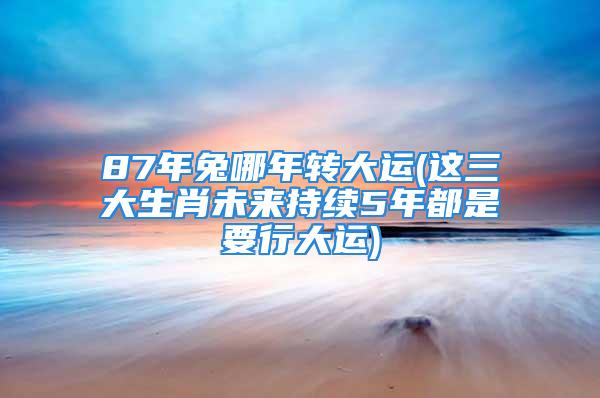 87年兔哪年转大运(这三大生肖未来持续5年都是要行大运)