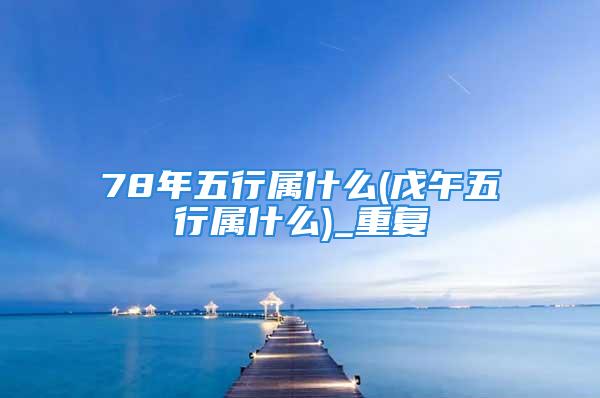 78年五行属什么(戊午五行属什么)_重复