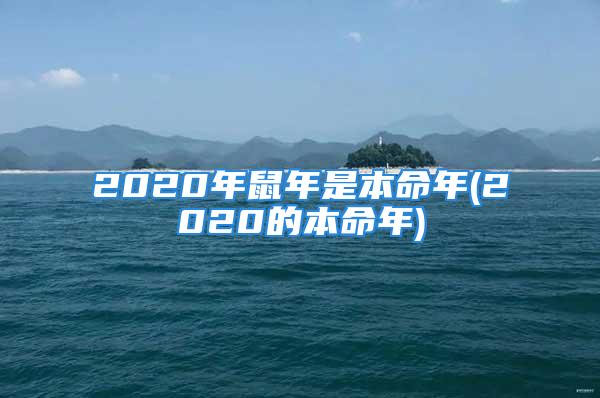 2020年鼠年是本命年(2020的本命年)