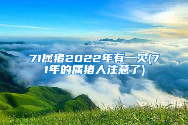 71属猪2022年有一灾(71年的属猪人注意了)