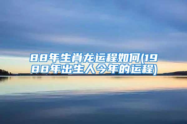 88年生肖龙运程如何(1988年出生人今年的运程)