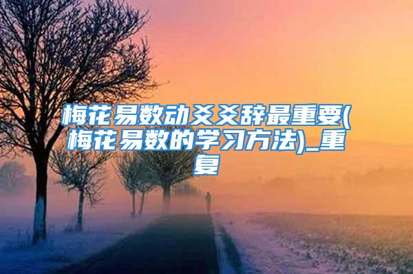 梅花易数动爻爻辞最重要(梅花易数的学习方法)_重复