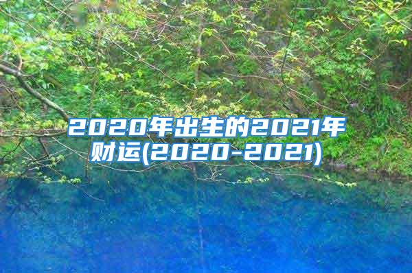 2020年出生的2021年财运(2020-2021)