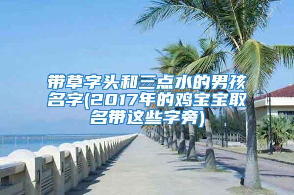 带草字头和三点水的男孩名字(2017年的鸡宝宝取名带这些字旁)