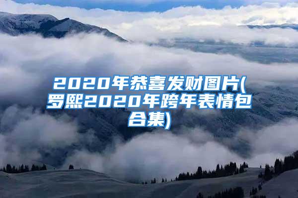 2020年恭喜发财图片(罗熙2020年跨年表情包合集)