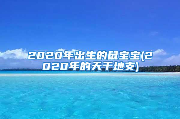 2020年出生的鼠宝宝(2020年的天干地支)