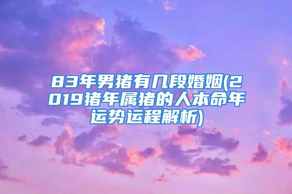 83年男猪有几段婚姻(2019猪年属猪的人本命年运势运程解析)