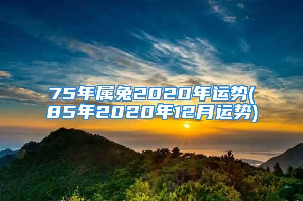 75年属兔2020年运势(85年2020年12月运势)