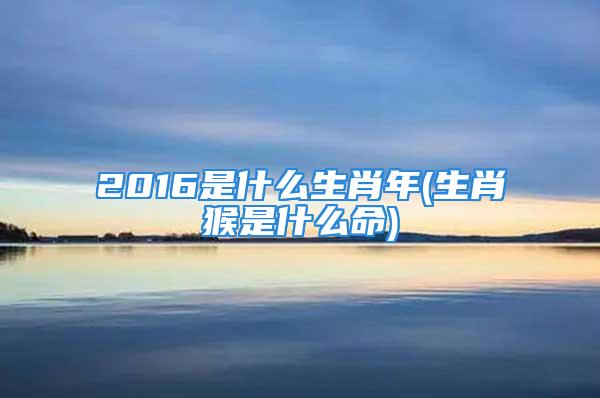 2016是什么生肖年(生肖猴是什么命)