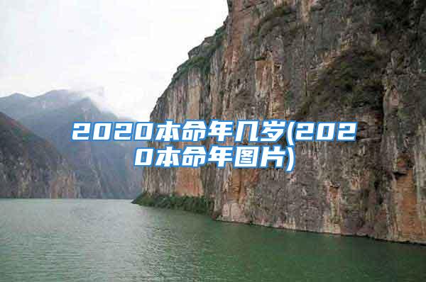 2020本命年几岁(2020本命年图片)