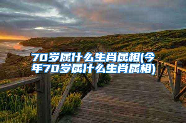 70岁属什么生肖属相(今年70岁属什么生肖属相)