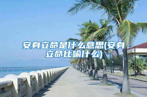 安身立命是什么意思(安身立命比喻什么)