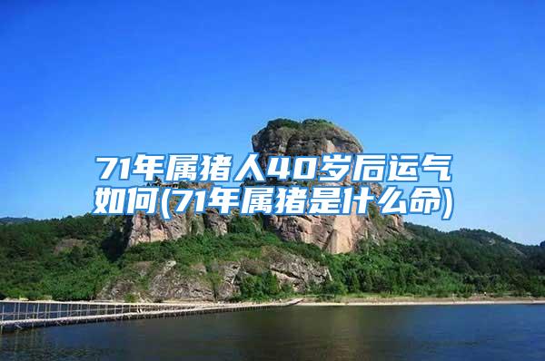 71年属猪人40岁后运气如何(71年属猪是什么命)