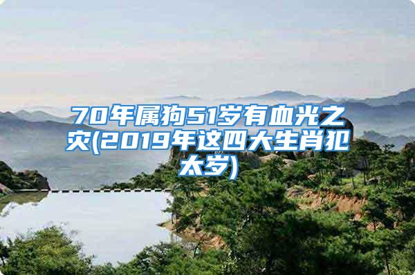 70年属狗51岁有血光之灾(2019年这四大生肖犯太岁)