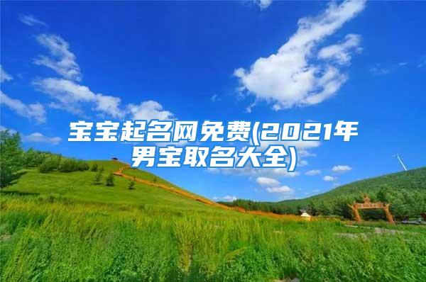 宝宝起名网免费(2021年男宝取名大全)