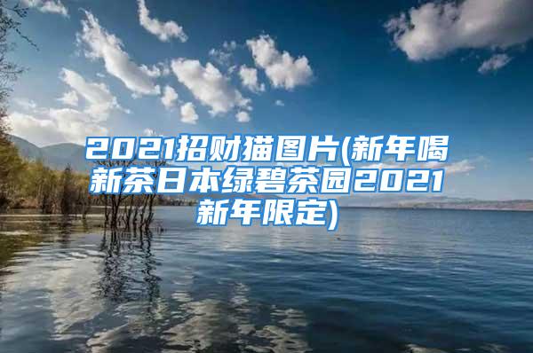 2021招财猫图片(新年喝新茶日本绿碧茶园2021新年限定)