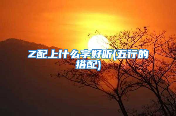 Z配上什么字好听(五行的搭配)