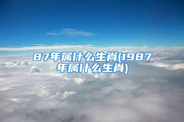 87年属什么生肖(1987年属什么生肖)