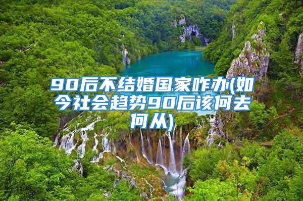 90后不结婚国家咋办(如今社会趋势90后该何去何从)