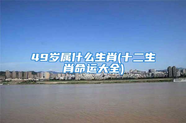 49岁属什么生肖(十二生肖命运大全)