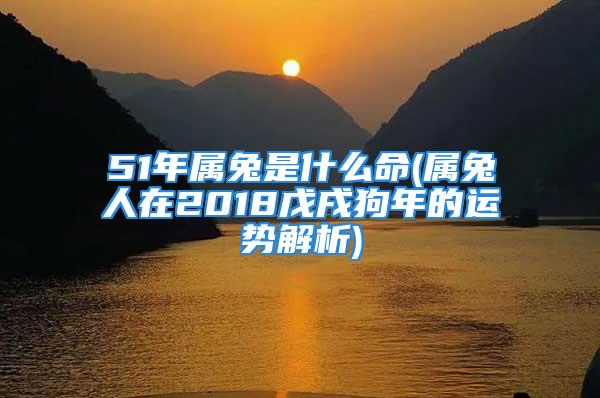 51年属兔是什么命(属兔人在2018戊戌狗年的运势解析)