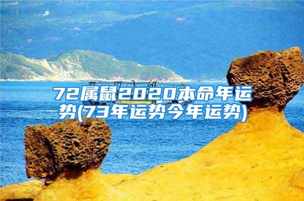 72属鼠2020本命年运势(73年运势今年运势)